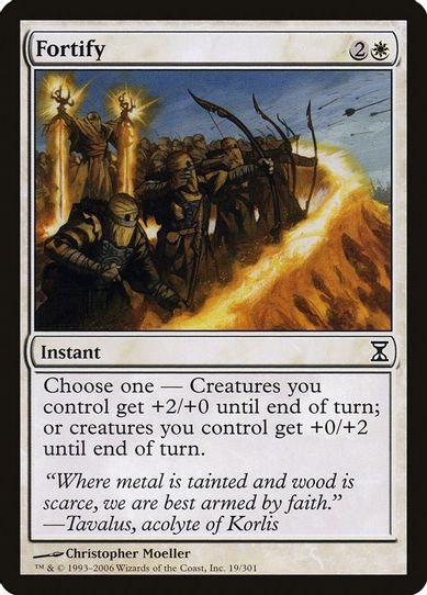 Fortify (19) [Time Spiral]