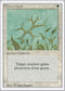 Green Ward [Revised Edition]