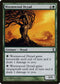 Wormwood Dryad (233) [Time Spiral]