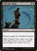 Walk the Plank (130) [Ixalan]