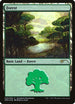 Forest (Rebecca Guay) (5) [Standard Showdown Promos]
