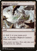 Blighted Cataract (26) [Duel Decks: Merfolk vs. Goblins]