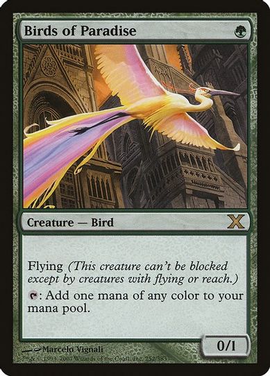 Birds of Paradise (252) [10th Edition]