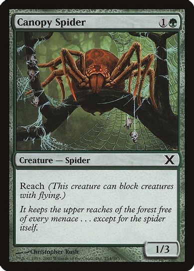 Canopy Spider (254) [10th Edition]