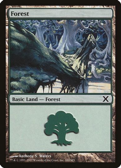 Forest (380) [10th Edition]
