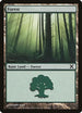 Forest (381) [10th Edition]