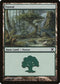 Forest (382) [10th Edition]