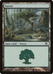 Forest (382) [10th Edition]