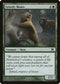 Grizzly Bears (268) [10th Edition]