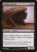 Hidden Horror (149) [10th Edition]