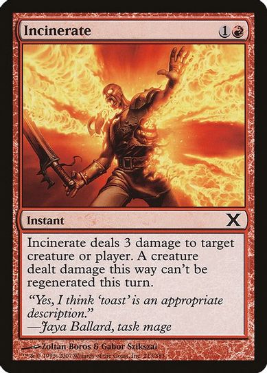 Incinerate (213) [10th Edition]