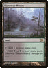 Llanowar Wastes (355) [10th Edition]