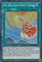 The Weather Sunny Canvas (SPWA-EN039) [Spirit Warriors]