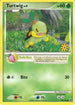 Turtwig (78/100) [Countdown Calendar Promos