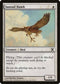 Suntail Hawk (50) [10th Edition]