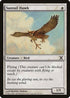 Suntail Hawk (50) [10th Edition]