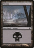 Swamp (374) [10th Edition]