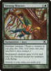 Treetop Bracers (304) [10th Edition]
