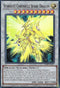 Stardust Chronicle Spark Dragon (CIBR-ENSE1) [Circuit Break]
