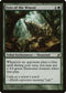 Eyes of the Wisent (210) [Lorwyn]