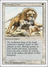 Savannah Lions [Revised Edition]