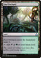 Foul Orchard (188) [Rivals of Ixalan]