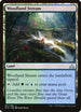 Woodland Stream (191) [Rivals of Ixalan]