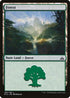 Forest (196) [Rivals of Ixalan]