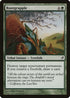Rootgrapple (234) [Lorwyn]
