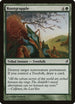 Rootgrapple (234) [Lorwyn]