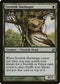 Treefolk Harbinger (239) [Lorwyn]