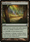 Vivid Grove (277) [Lorwyn]