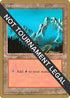 Mountain (B) - Eric Tam (ED) [World Championship Decks]