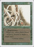 Wall of Brambles [Revised Edition]