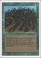 Wall of Wood [Revised Edition]