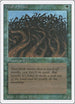 Wall of Wood [Revised Edition]