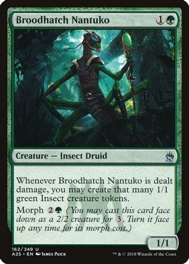 Broodhatch Nantuko (162) [Masters 25]
