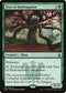 Tree of Redemption (191) [Masters 25]