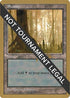 Swamp - Jakub Slemr (ED) [World Championship Decks]