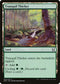 Tranquil Thicket (29) [Duel Decks: Elves vs. Inventors]