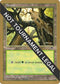 Forest (Skyward) - Brian Selden (TMP) [World Championship Decks]