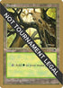 Forest (Skyward) - Brian Selden (TMP) [World Championship Decks]