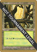 Forest (Ledge) - Brian Selden (TMP) [World Championship Decks]