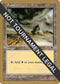 Plains (Rocks) - Brian Hacker (TMP) [World Championship Decks]