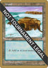 Island (Crashing Waves) - Randy Buehler (TMP) [World Championship Decks]