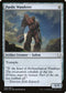 Pardic Wanderer (226) [Dominaria]