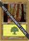 Forest - Jan Tomcani (INV) [World Championship Decks]