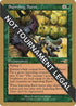 Saproling Burst - Jan Tomcani (NMS) [World Championship Decks]