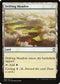 Drifting Meadow (248) [Commander Anthology Volume II]