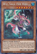 Wiz, Sage Fur Hire (DASA-EN022) [Dark Saviors]